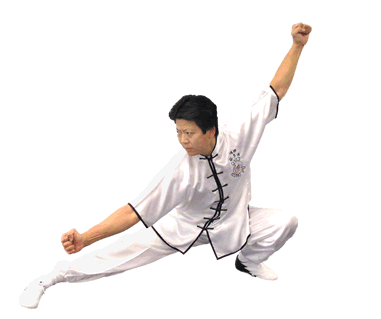 Northern Shaolin Chu s Kung Fu
