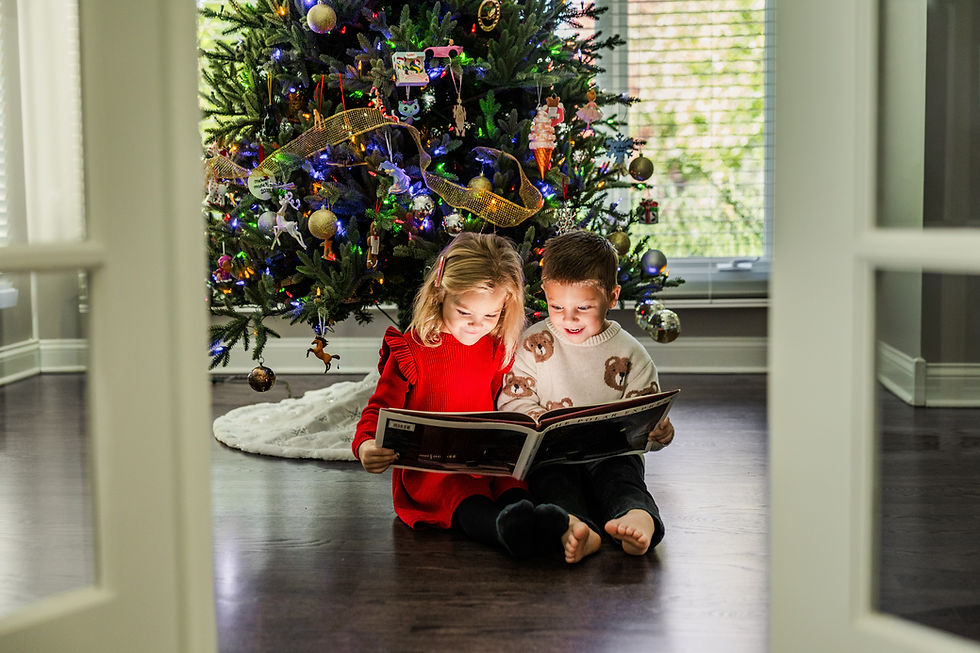 Home for the Holidays Christmas Session