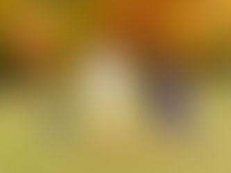 Wilder Park Fall Family Photos in Elmhurst