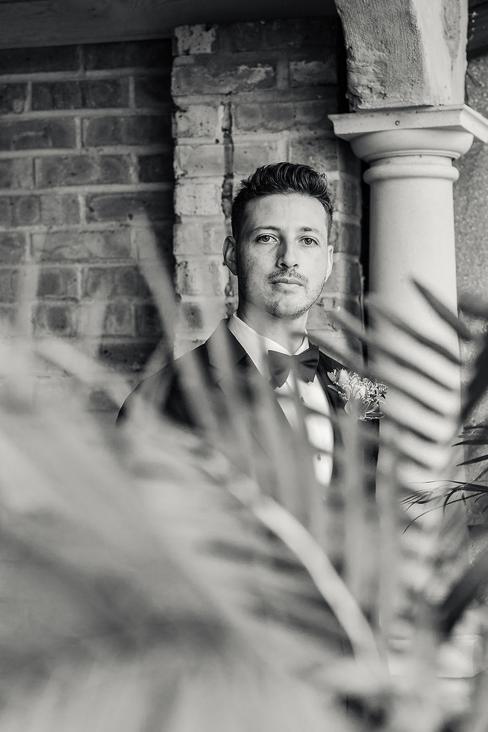 groom outside the drake in oak brook look past palms in black and white