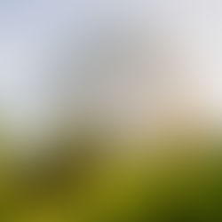 Things I Do To Save Money at Disney World