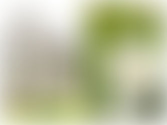 Senior Inspiration Session at Wadley Farm