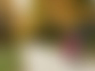 Winfield's St James Farm Fall Engagement Session | Casie and Alex