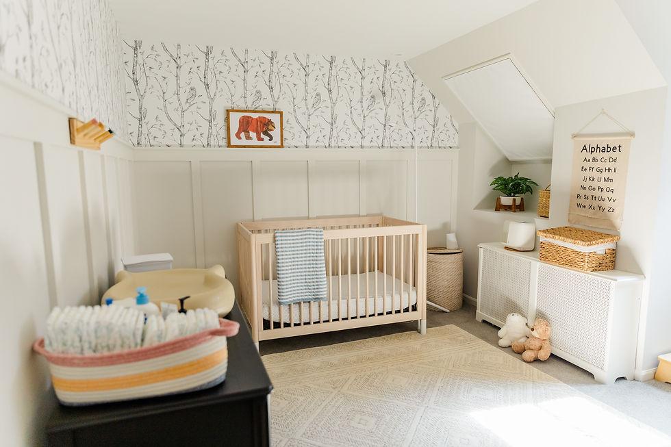 Newborn Nursery