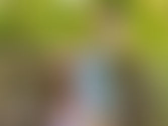 Fabyan Forest Preserve Photo Session for 9 Month Scarlett | Stander Family