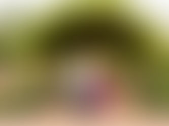 Winfield's Cantigny Garden Fall Engagement Photos | Sarah and Ryan