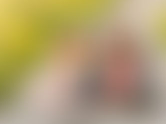 Playful family session at Winnetka’s Crow Island Woods