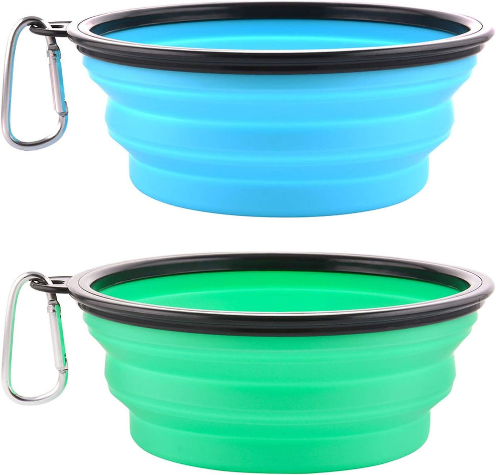 Dog travel water bowl
