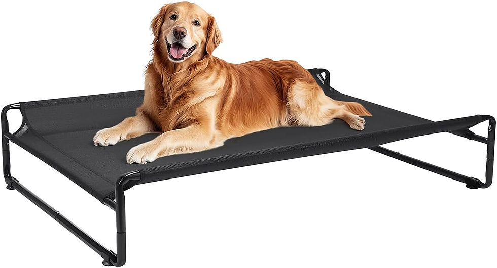Outdoor Dog Bed