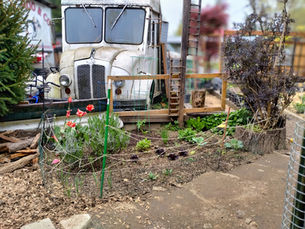 Spring Rhythms: Compost, Ducks, and New Beginnings