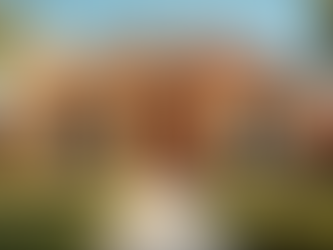 Transform Your Living Space with R Drummond & Son - Painter & Decorators - Free Painting Consultation Quote