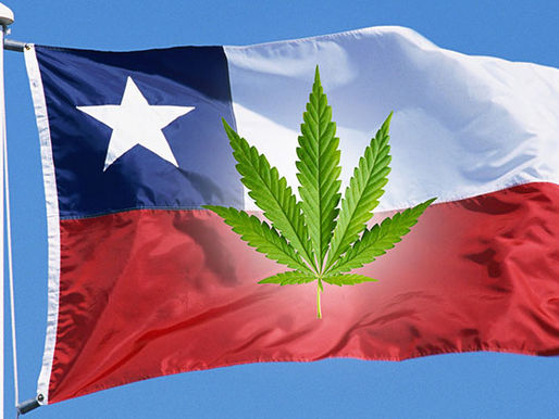CANNABIS CULTURE: CHILE - The highest ratio of cannabis uses in South America