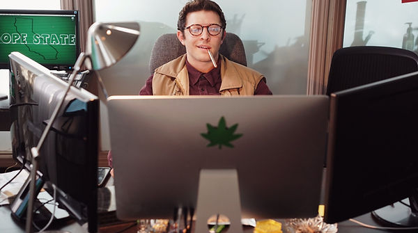 guest post your cannabis or cbd article - free guest posting submissions for seo backlinks