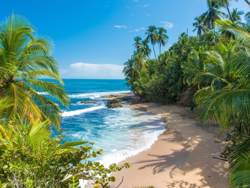 CANNABIS CULTURE: COSTA RICA - Live FREE with decriminalised cannabis use recreationally.