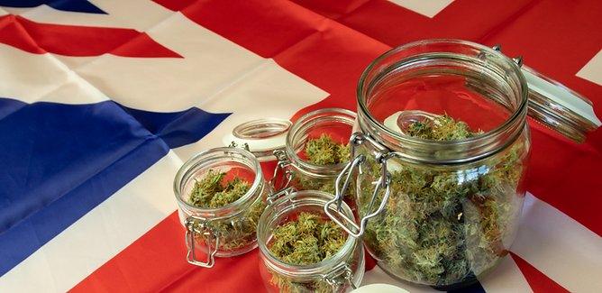 UK Medical Cannabis Forum British Prescription Clinics TMCC Sapphire Clinics Pharmacies.PN
