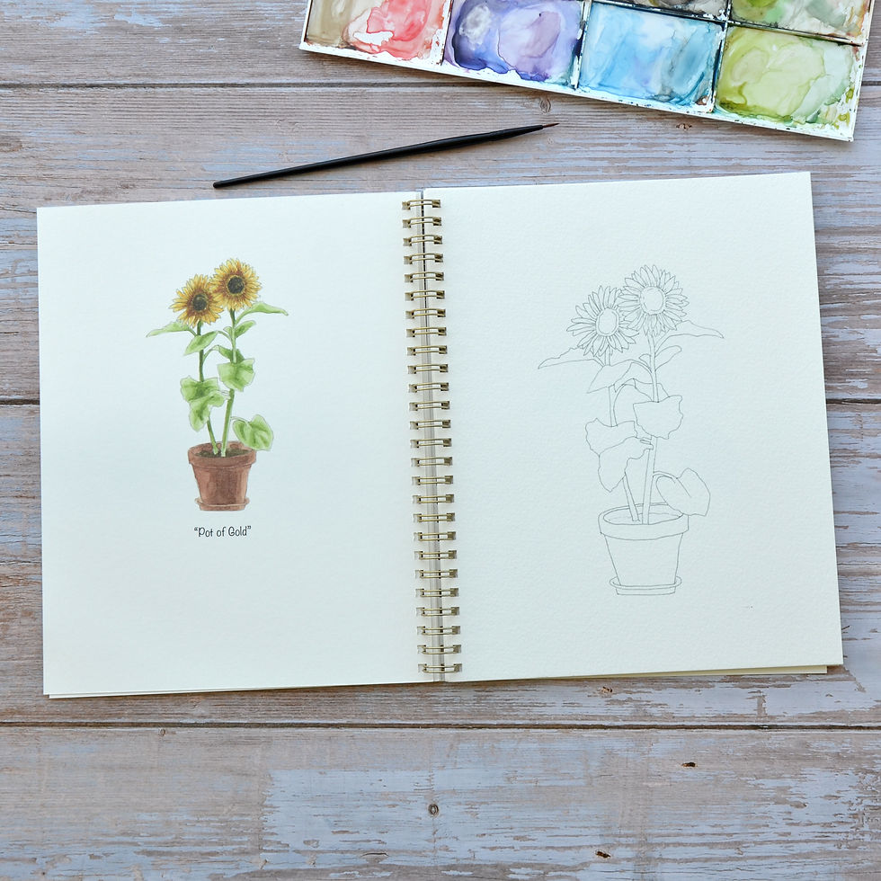 Thumbnail: Sunflower Watercoloring Book