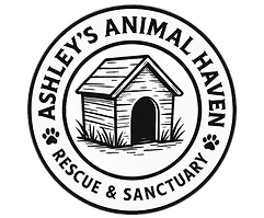 file_00000000752461f7a95cd8a7317336ae_ed