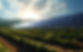 agrivoltaics-green-farming-with-solar-panels.jpeg