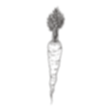 cenoura