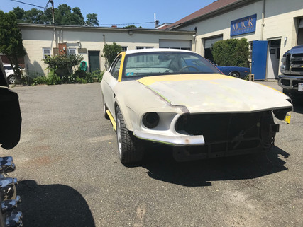 mustang from cell 5.jpeg