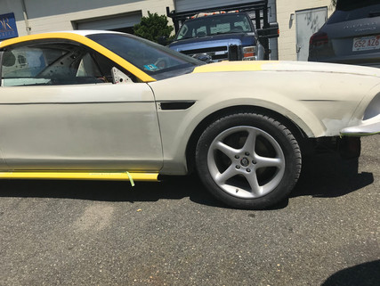 mustang from cell 4.jpeg