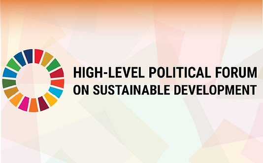 HxN - Reporte HLPF_page-0001.jpg