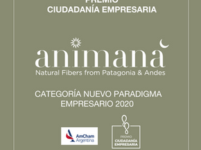 HxN is Celebrating it's Sister B Corp Animaná's Award Win for New  Paradigm Entrepreneur 2020! 