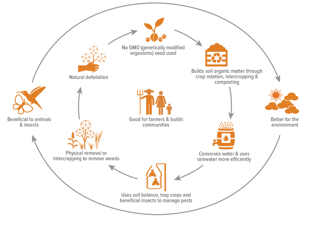 Organic cotton is really sustainable. Learn why!