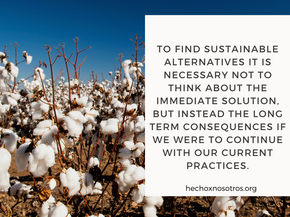 Sustainable Development Goal #2: ZERO Hunger & Sustainable Agriculture 