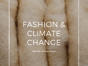 Fashion & Climate Change SDG #