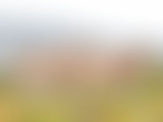 El sistema regenerativo en la industria de la moda: las fibras del guanaco