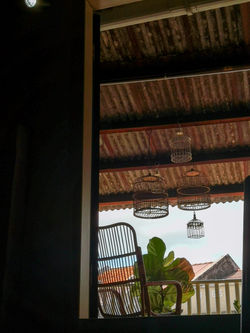 Birdcage (11).jpg