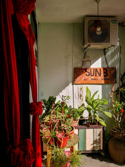 Birdcage (12).jpg