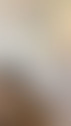 Polished plaster ambitec finish on walls 