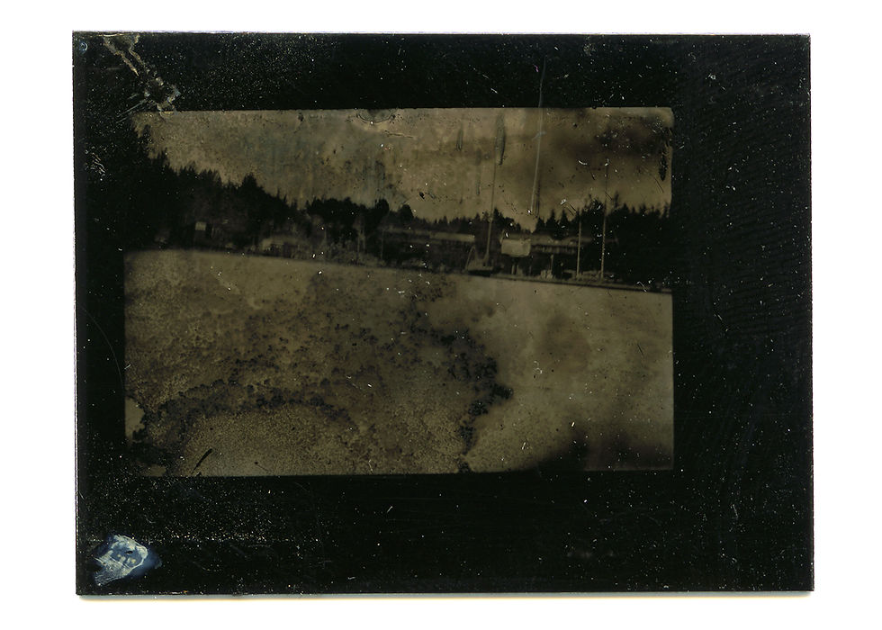 salt spring 12