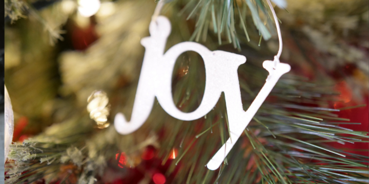 <p class="font_7"><a href="https://www.youtube.com/watch?v=UvaeVUPqreo"><u><strong>Newsy: Holiday Joy</strong></u></a></p>