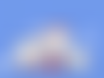 The Truth About Lender Questionnaires