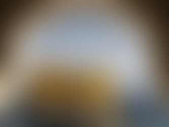 🛕 GOLDEN TEMPLE — AMRITSAR