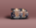 Disk-and-Cover-Presentation-Mock-up.png
