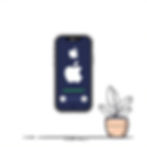 How to Check Your Apple Balance