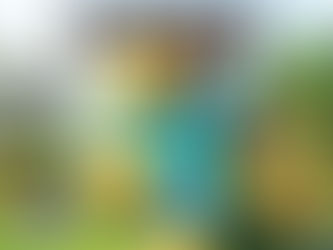 what are minecraft coins , buy minecraft coins with bitcoin , buy minecraft coins with crypto .