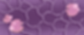 pagina web.png