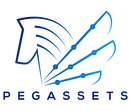 Pegasus Logo-A5_edited_edited.png