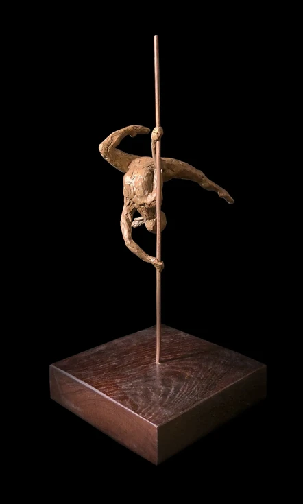 Pole dancer_1__1