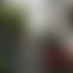 In einer Straße mit weißen, europäisch aussehenden Häusern stehen viele, bunte Tuk Tuks am Straßenrand.