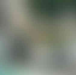 Der Hotelpool mit 2 Liegen und Sonnenschirmen.