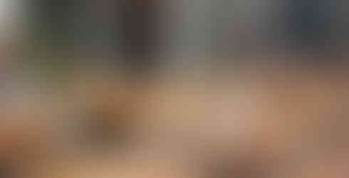 Ein Schaufenster, indem sich die gegenüberliegende Häuserfassade spiegelt und in dem sich appetitlich angerichtete Kuchen befinden.