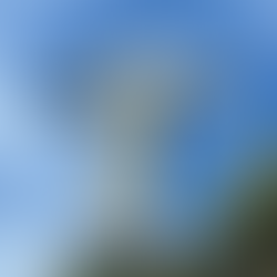 Die weltberühmte Christus Statue von hinten.