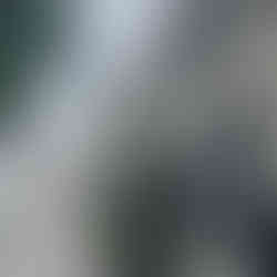 Eine hübsche Gasse mit Kopfsteinpflaster und Häusern mit bunten Fensterläden.