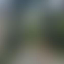 Eine junge Frau in Jeansshorts und orangenem Top geht eine Palmenallee entlang.